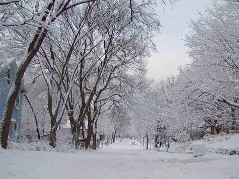Winter Survival
