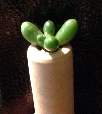 How to Make a Cork Planter