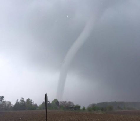 The Surprising Visit From Mr. Twister