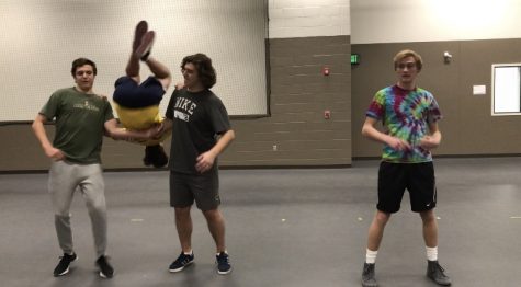 Mr. Z 2019